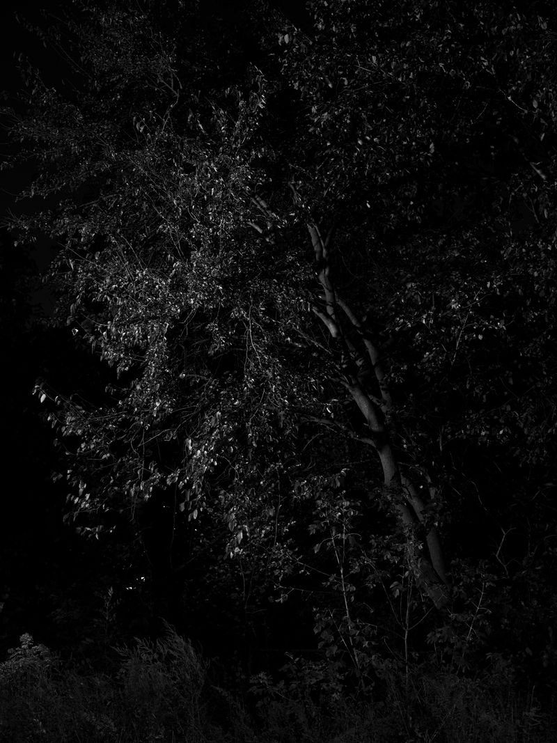 © Tanya Shah - Image from the glimmer photography project