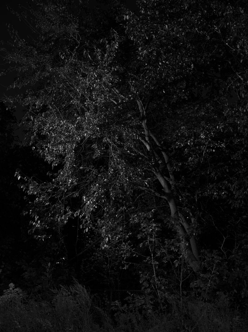 © Tanya Shah - Image from the glimmer photography project