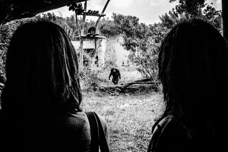 © Emilio Barillaro - Image from the Fauna photography project