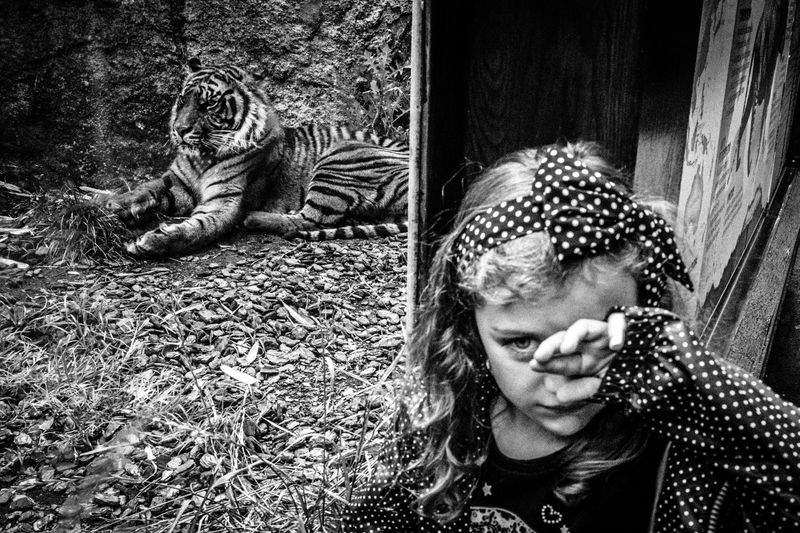 © Emilio Barillaro - Image from the Fauna photography project