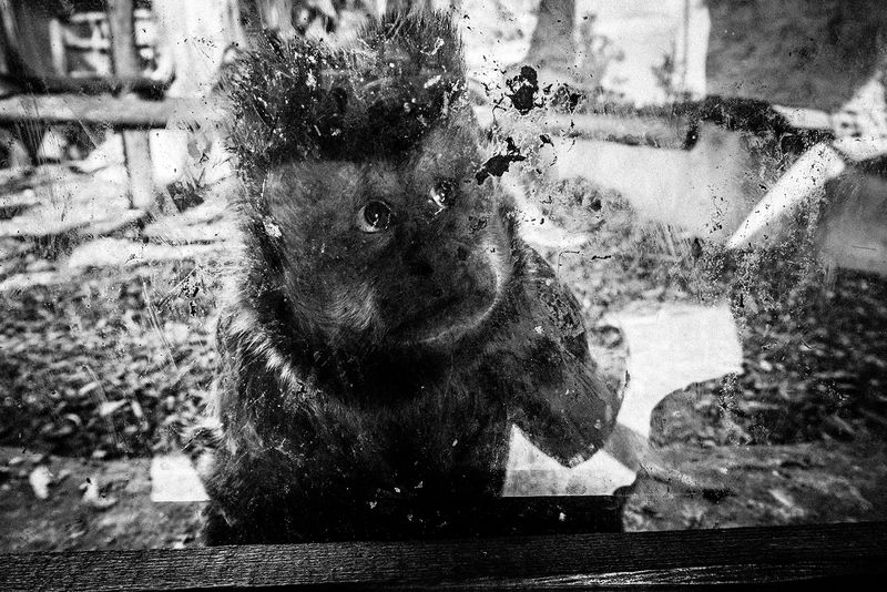 © Emilio Barillaro - Image from the Fauna photography project