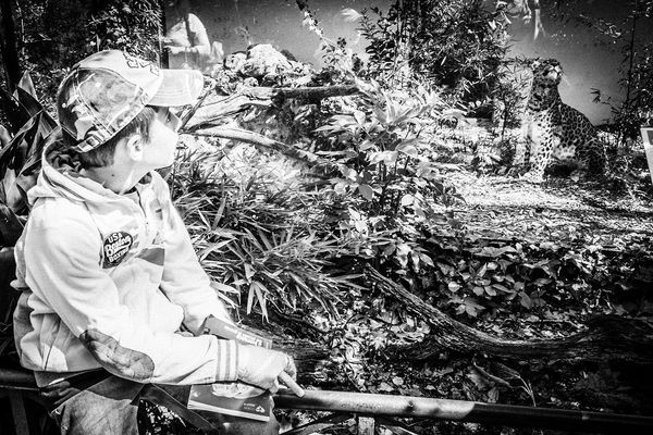 © Emilio Barillaro - Image from the Fauna photography project