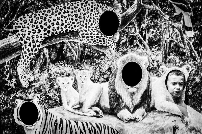 © Emilio Barillaro - Image from the Fauna photography project