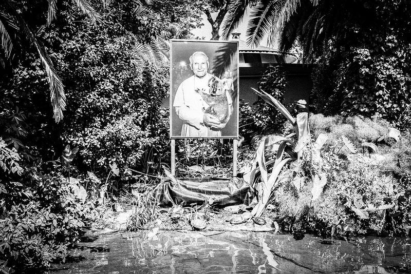 © Emilio Barillaro - Image from the Fauna photography project