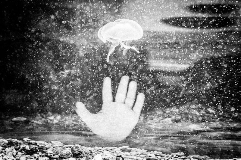 © Emilio Barillaro - Image from the Fauna photography project