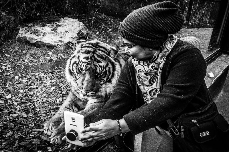 © Emilio Barillaro - Image from the Fauna photography project