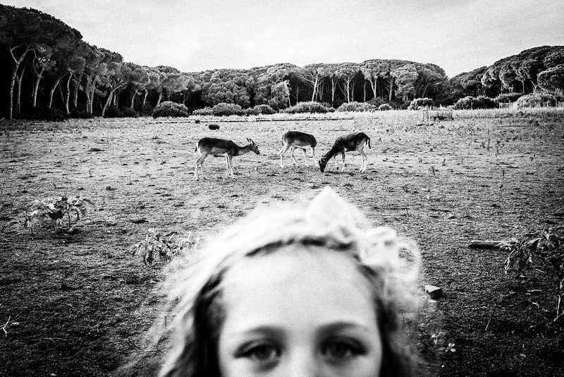 © Emilio Barillaro - Image from the Fauna photography project