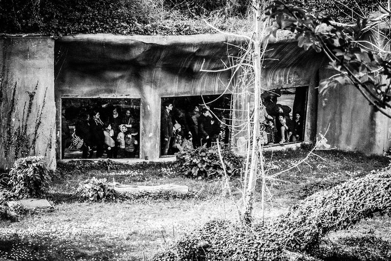 © Emilio Barillaro - Image from the Fauna photography project