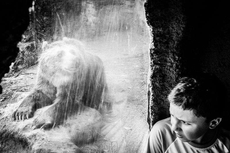 © Emilio Barillaro - Image from the Fauna photography project