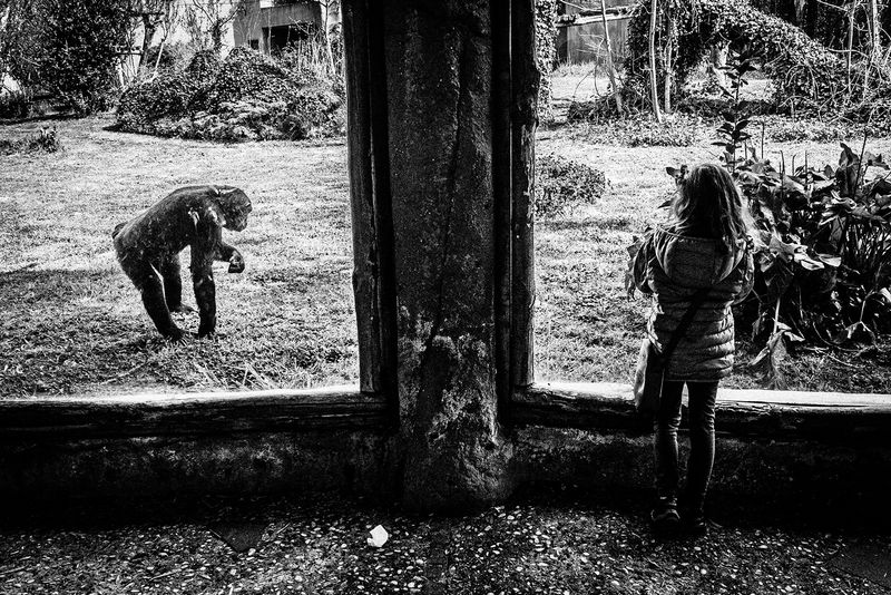 © Emilio Barillaro - Image from the Fauna photography project