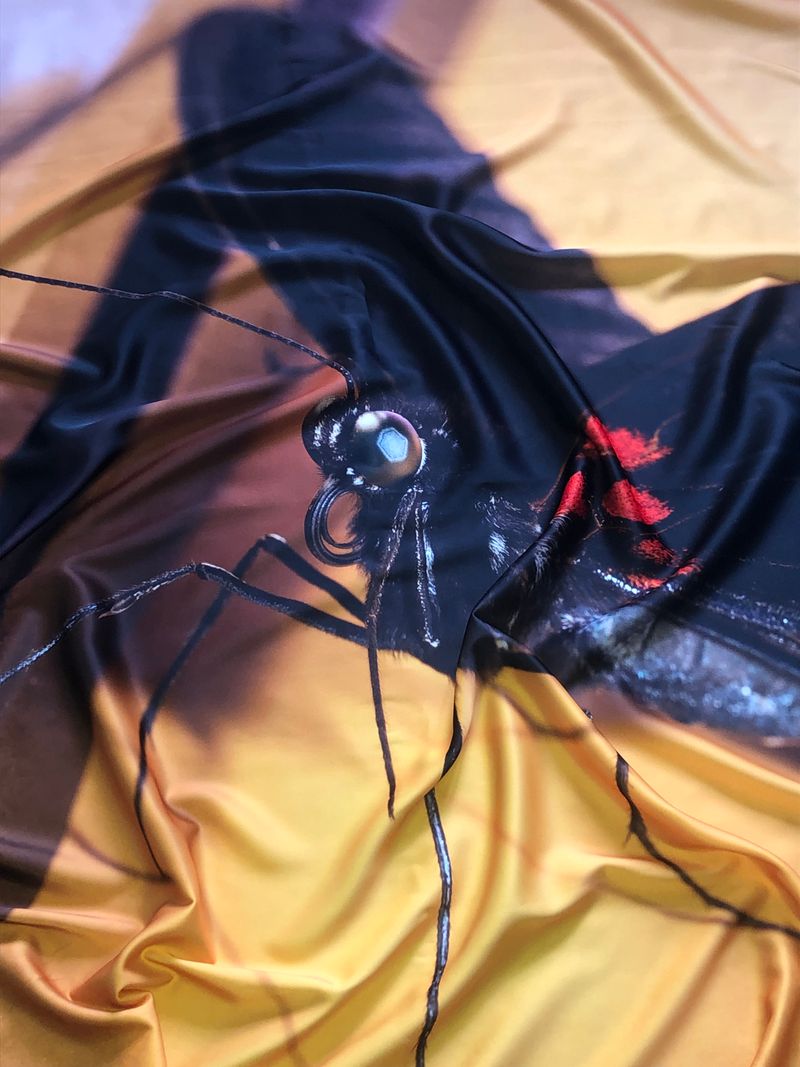 © Sofia Okkonen - Image from the Honey,Please photography project