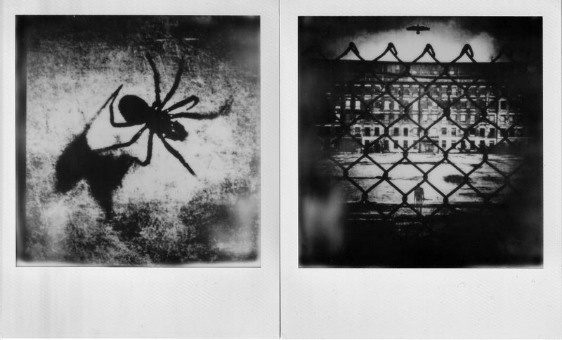© John Perivolaris - Polaroid Diptych. Undated. Untitled.