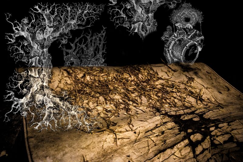 © Yael Martínez - Image from the The blood and the rain. photography project