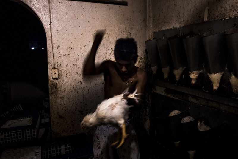 © Yael Martínez - Image from the La casa que sangra II Broken Roots. photography project