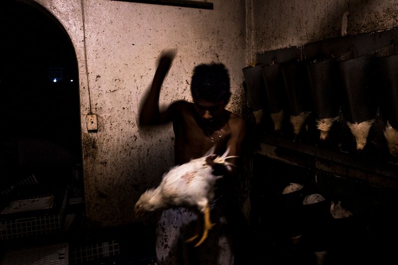 © Yael Martínez - Image from the La casa que sangra II Broken Roots. photography project