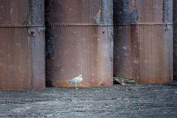 © Gabrielle Weinstein - Image from the Ruin and redemption photography project