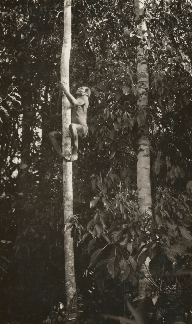 © Cesar Vivanco - Image from the Paititi: Adios, Genesis y Fin de un Mito. photography project