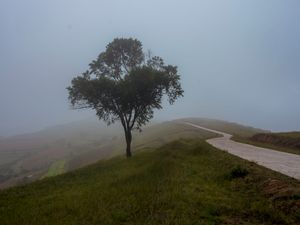 Return the land to nature