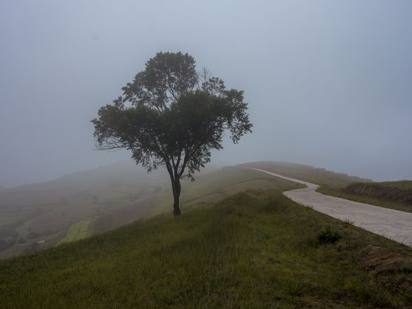 © Pan Wang - Image from the Return the land to nature photography project
