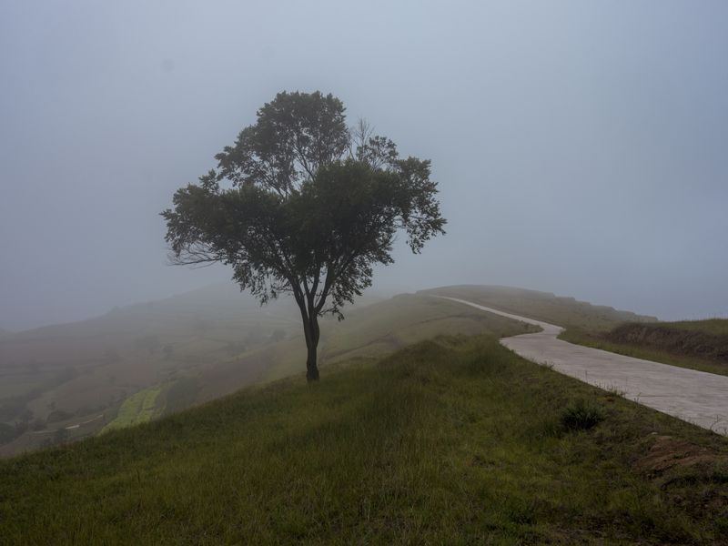 © Pan Wang - Image from the Return the land to nature photography project