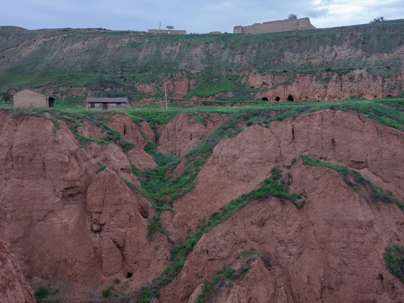 © Pan Wang - Image from the Return the land to nature photography project