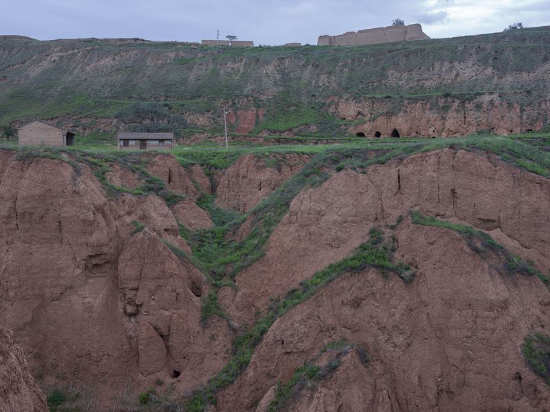 © Pan Wang - Image from the Return the land to nature photography project