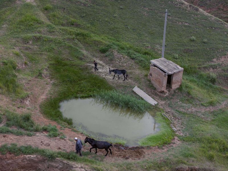 © Pan Wang - Image from the Return the land to nature photography project