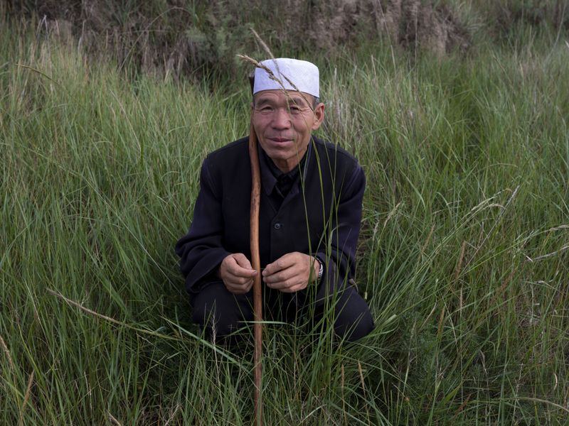 © Pan Wang - Image from the Return the land to nature photography project