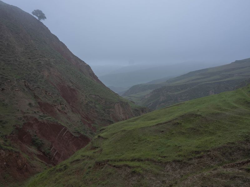 © Pan Wang - Image from the Return the land to nature photography project