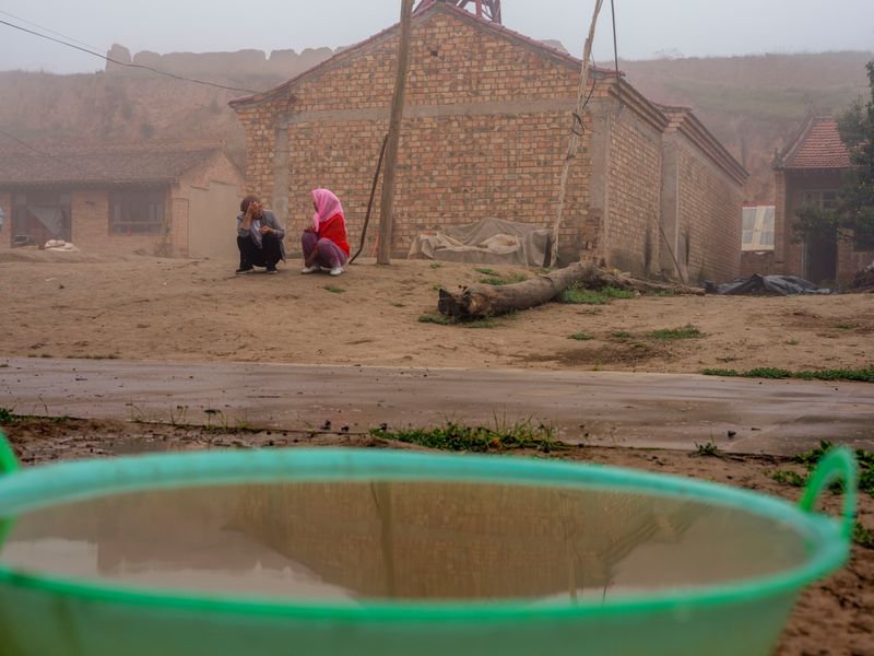 © Pan Wang - Image from the Return the land to nature photography project