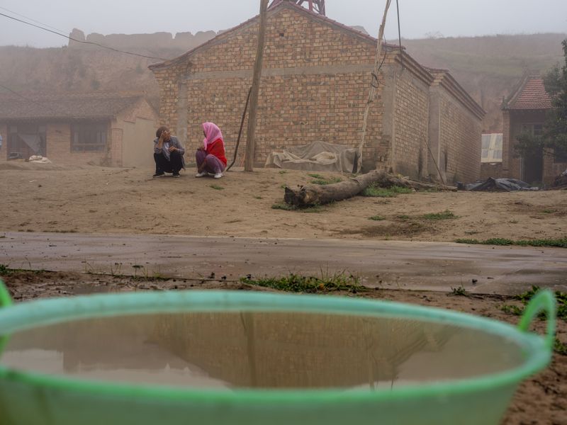 © Pan Wang - Image from the Return the land to nature photography project