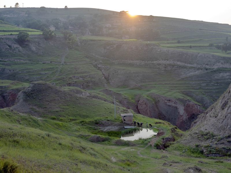 © Pan Wang - Image from the Return the land to nature photography project