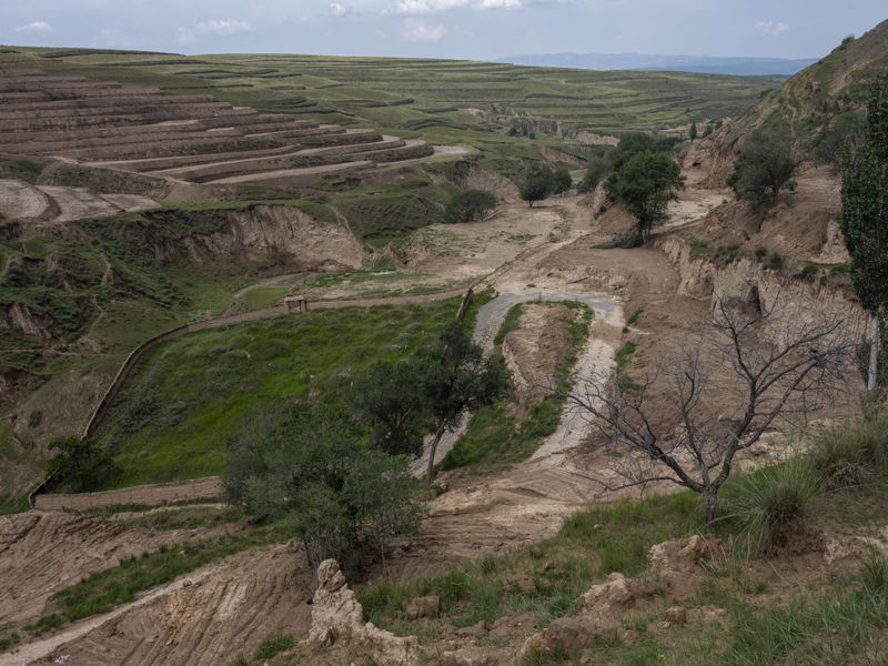 © Pan Wang - Image from the Return the land to nature photography project
