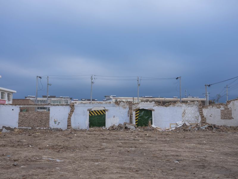 © Pan Wang - Image from the Return the land to nature photography project