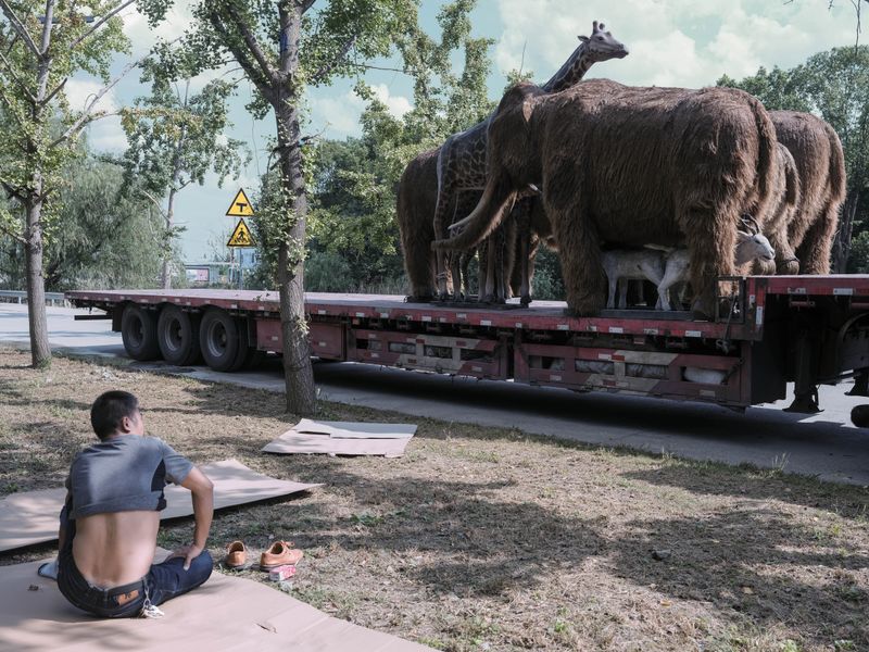 © Pan Wang - Image from the Survival in adversity photography project