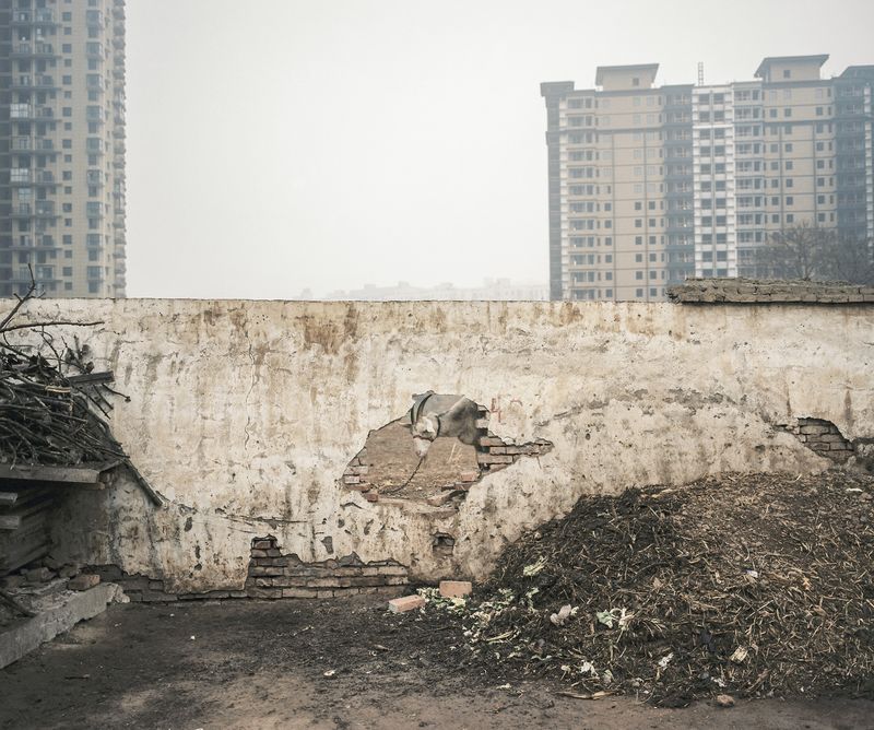 © Pan Wang - 07.Encroached villages