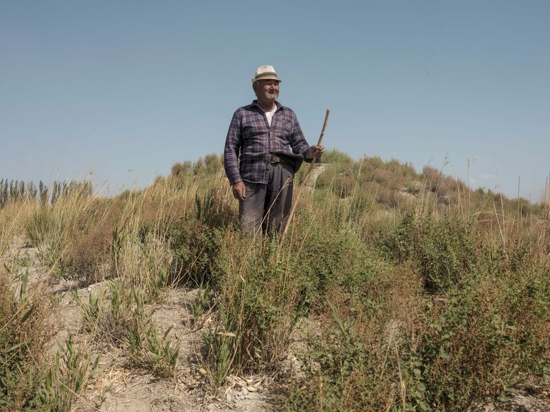 © Pan Wang - A shepherd. in Yanqi, Xinjiang Uygur Autonomous Region, China, at Bagedachen Ancient City, May 20, 2025.