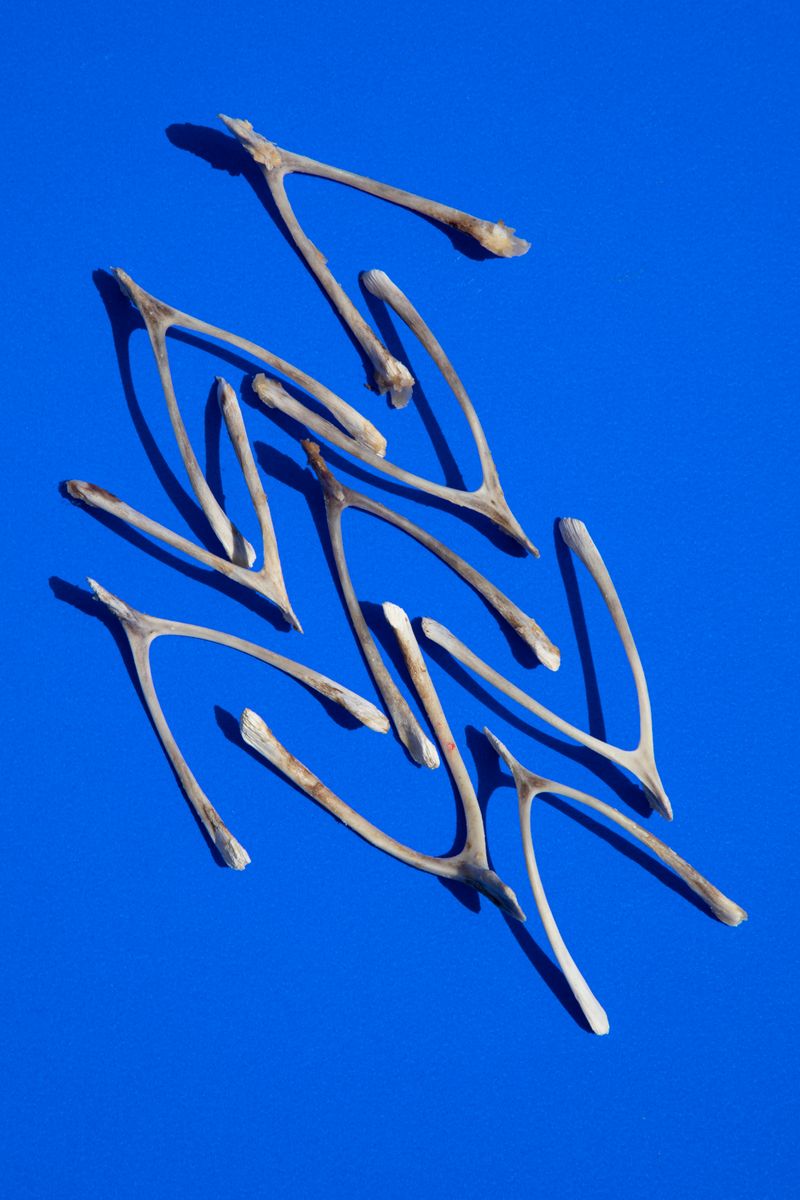 © Marianne McGurk - Image from the This is how she lives on photography project