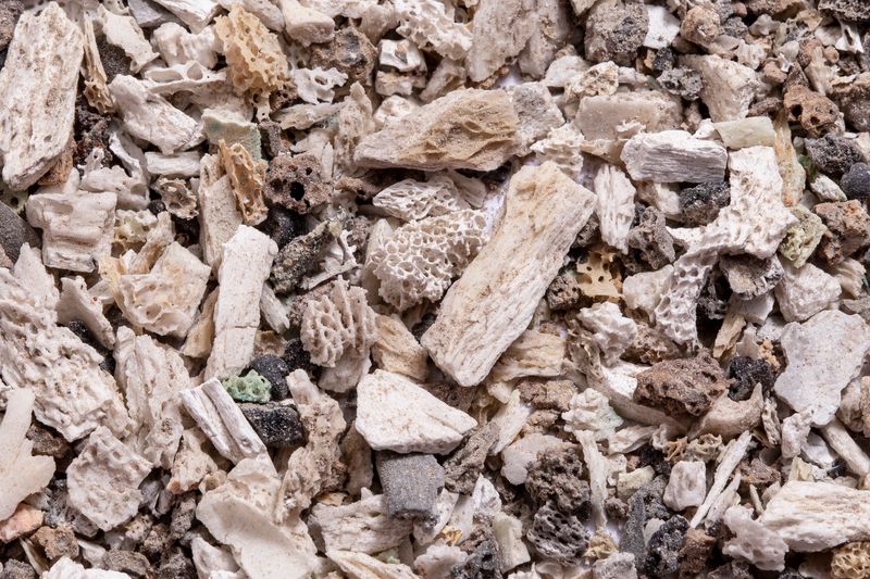 © Marianne McGurk - Image from the This is how she lives on photography project