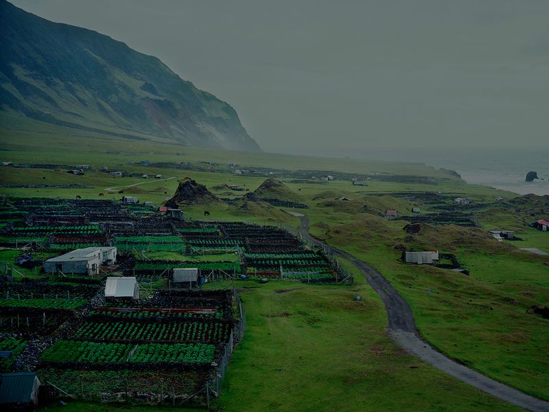 © Richard Pak - Image from the The Firm photography project