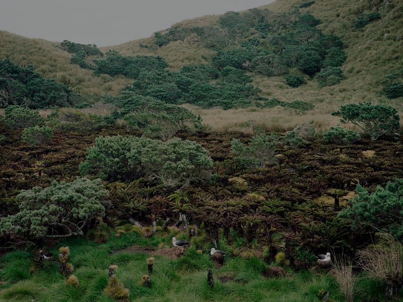 © Richard Pak - Image from the The Firm photography project