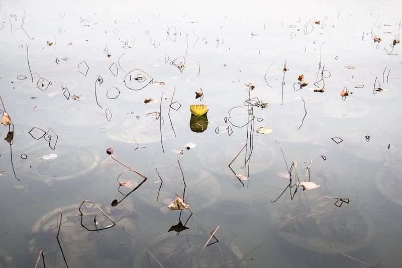 © Camilla Ferrari - Image from the Aquarium photography project