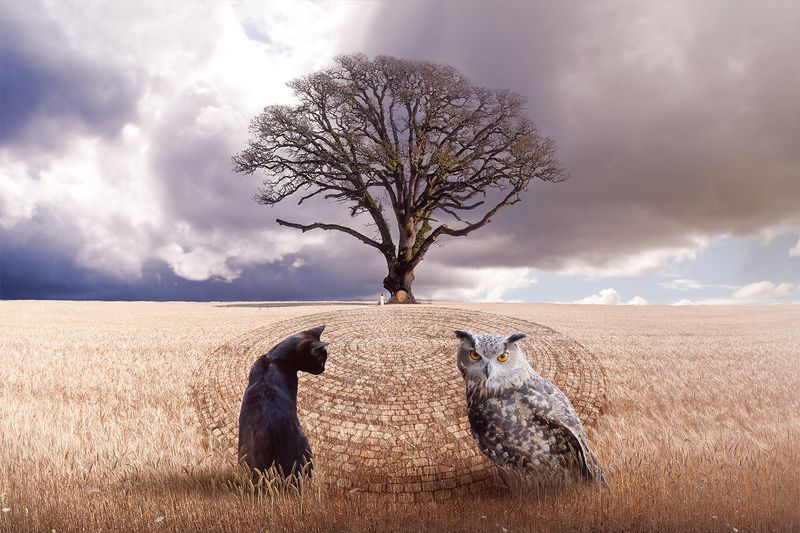 © Teresa Meier - Huginn ok Munnin ~ Thought and Memory