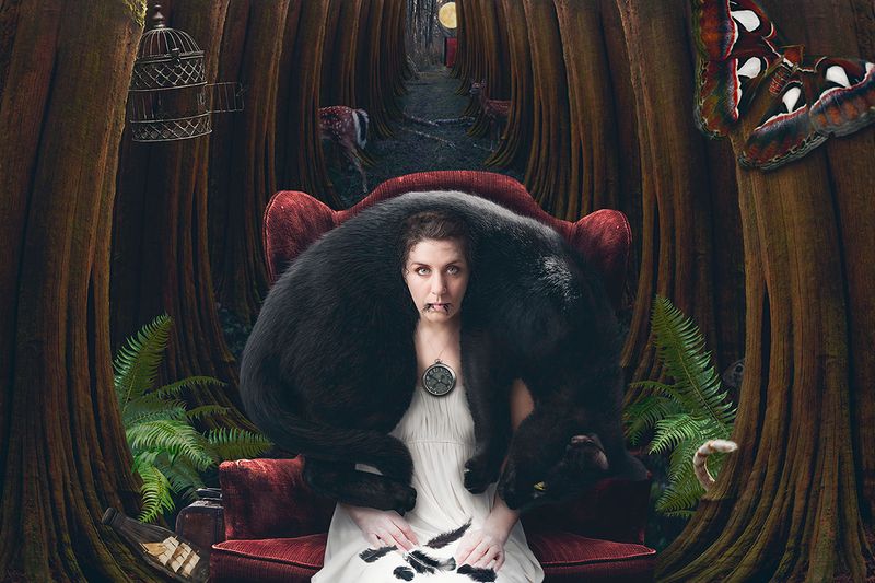 © Teresa Meier - The Belly