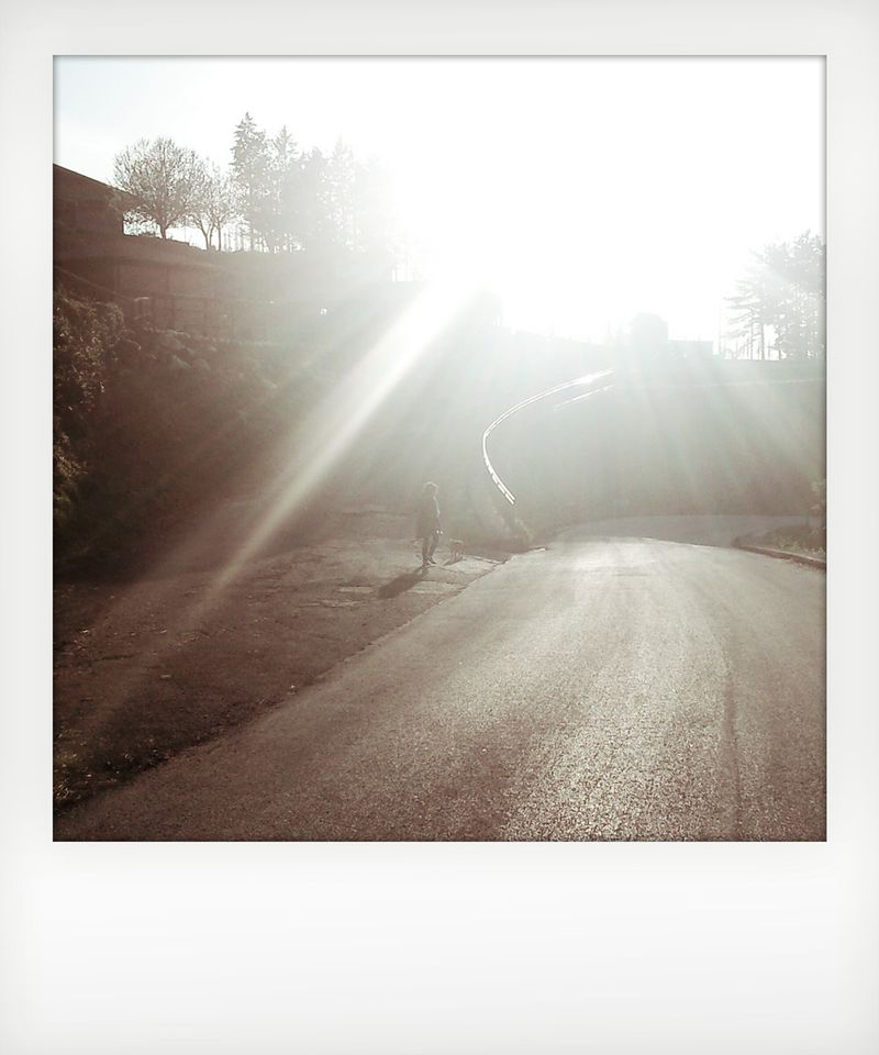 © Massimo Capocci - My dog and the long walks with him regenerated me. I felt serene and every kind of worry disappeared.