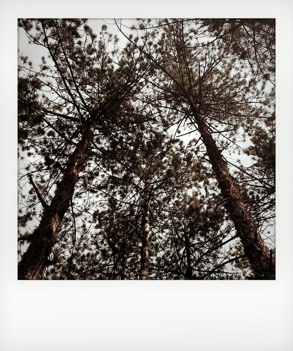 © Massimo Capocci - Image from the Good morning  Mr. Hodgkin photography project