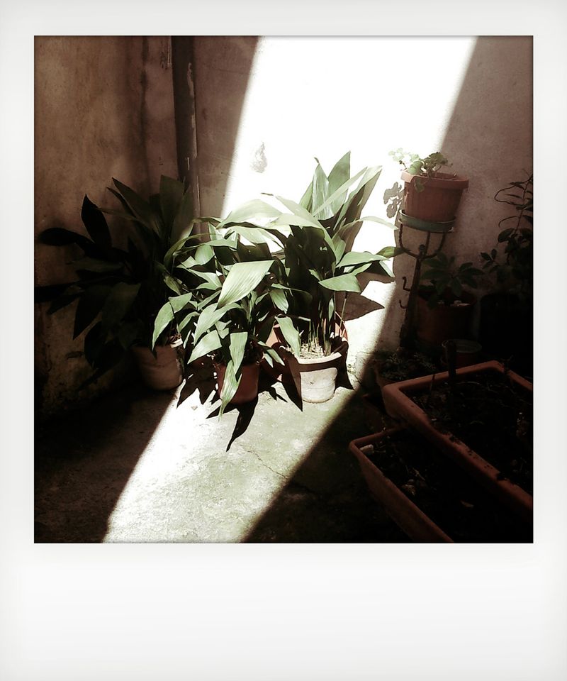 © Massimo Capocci - Image from the Good morning  Mr. Hodgkin photography project