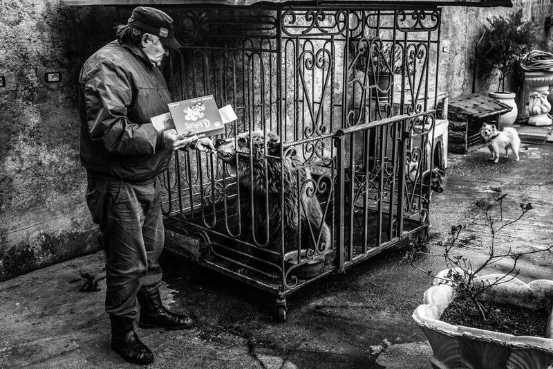 © Giovanni Cobianchi - Image from the VETEM photography project