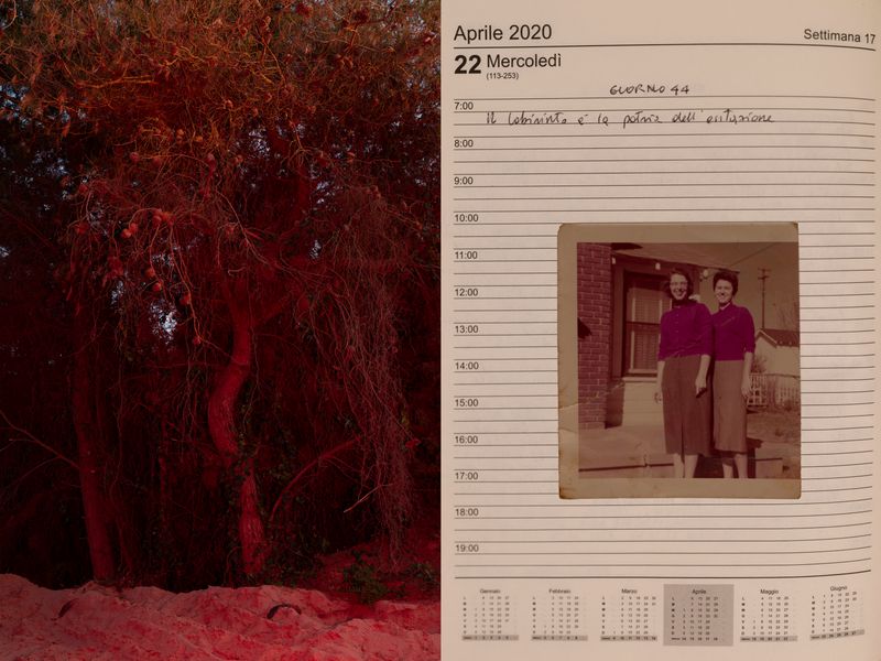 © Alisa Martynova - Translation of the diary: Day 44. Labyrinth is the motherland of hesitation.