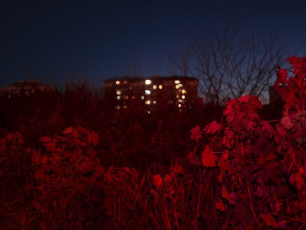 © Alisa Martynova - Image from the Sleeping Pill photography project